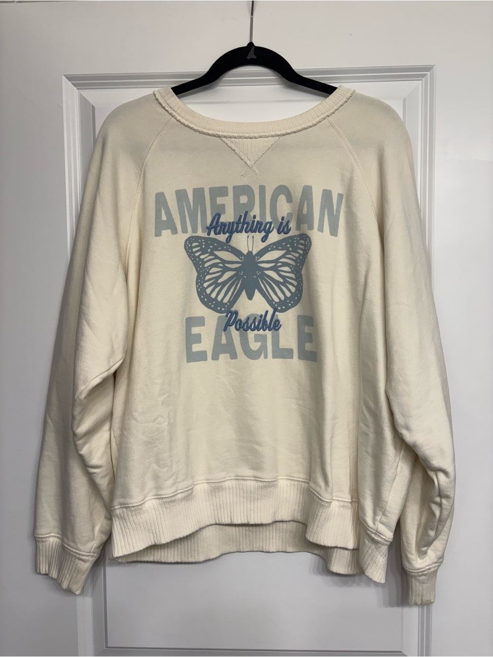 American Eagle Outfitters Cream Pullover with Blue Graphic Butterfly